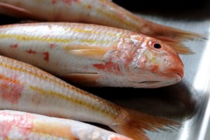 red mullet